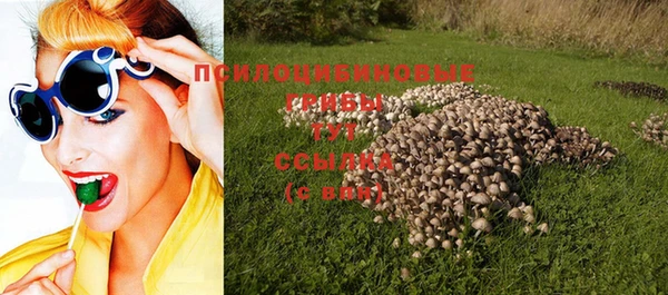 спайс Костерёво