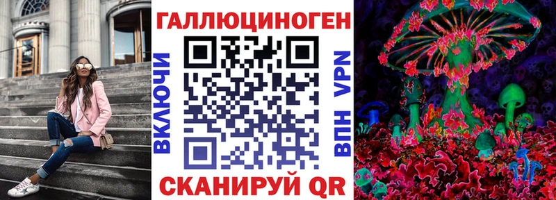 Купить закладки  Высоцк  Галлюциногенные грибы Cubensis 